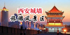 白虎美女被操的视频中国陕西-西安城墙旅游风景区